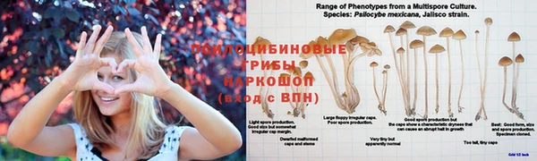 COCAINE Алзамай