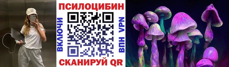 наркотики  Чита  Галлюциногенные грибы Cubensis 