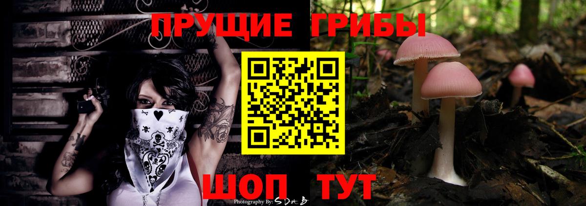 Псилоцибиновые грибы MAGIC MUSHROOMS Чита