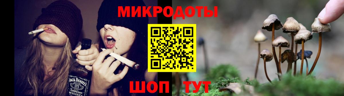 где купить наркоту  Вход с VPN  Галлюциногенные грибы Psilocybe  Чита  Псилоцибиновые грибы ЛСД 